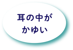 耳の中がかゆい