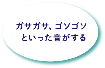 ガサガサ、ゴソゴソといった音がする